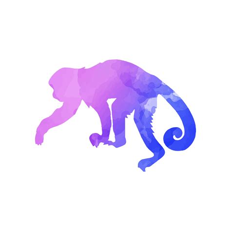 紫色猴子
